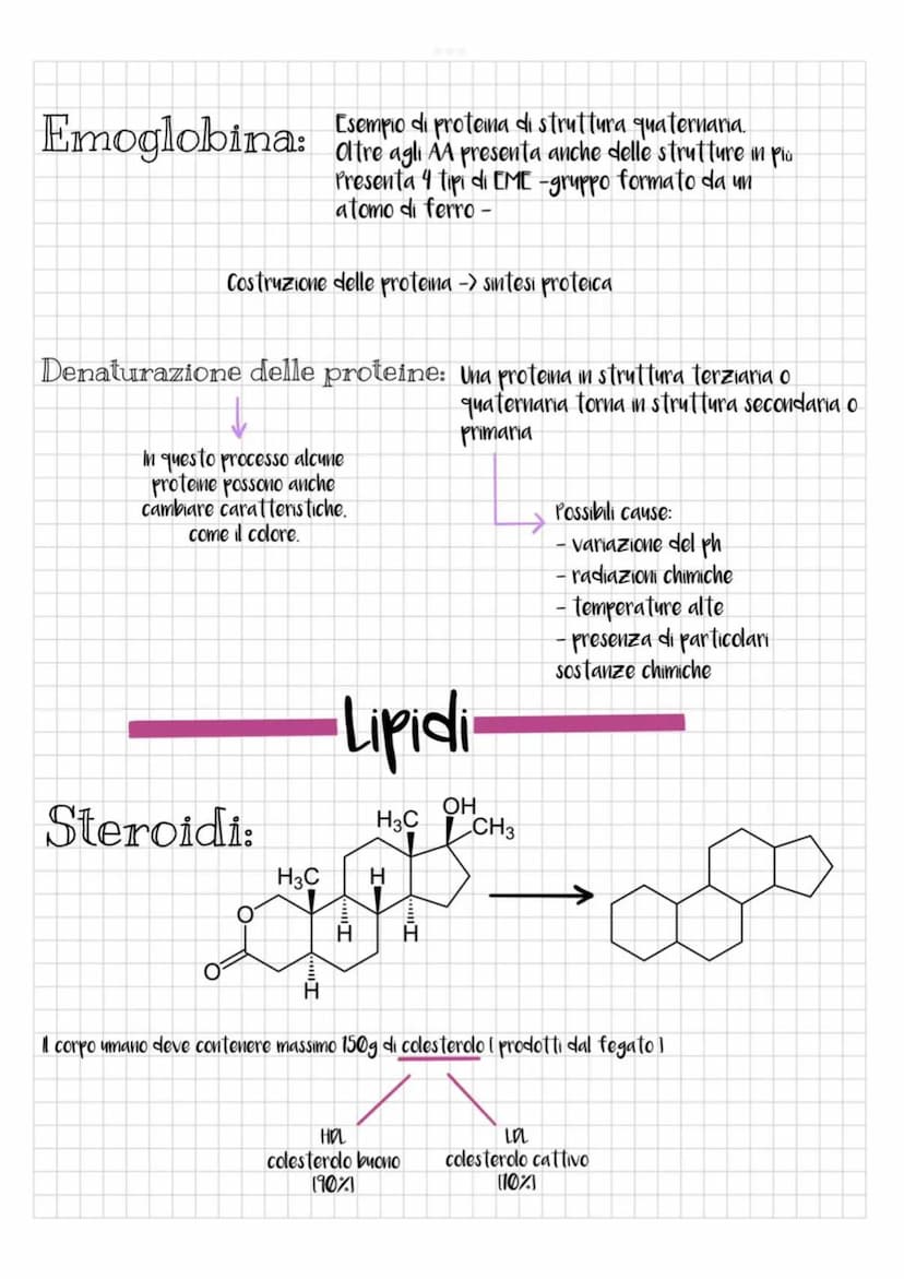 TIPIC
-Carboidrati
~ zuccheri ~
昙
Riserve energetiche
Semplici: ottenuti tramite idrolisi
Complessi: ottenuti tramite condensazione
pentosi
