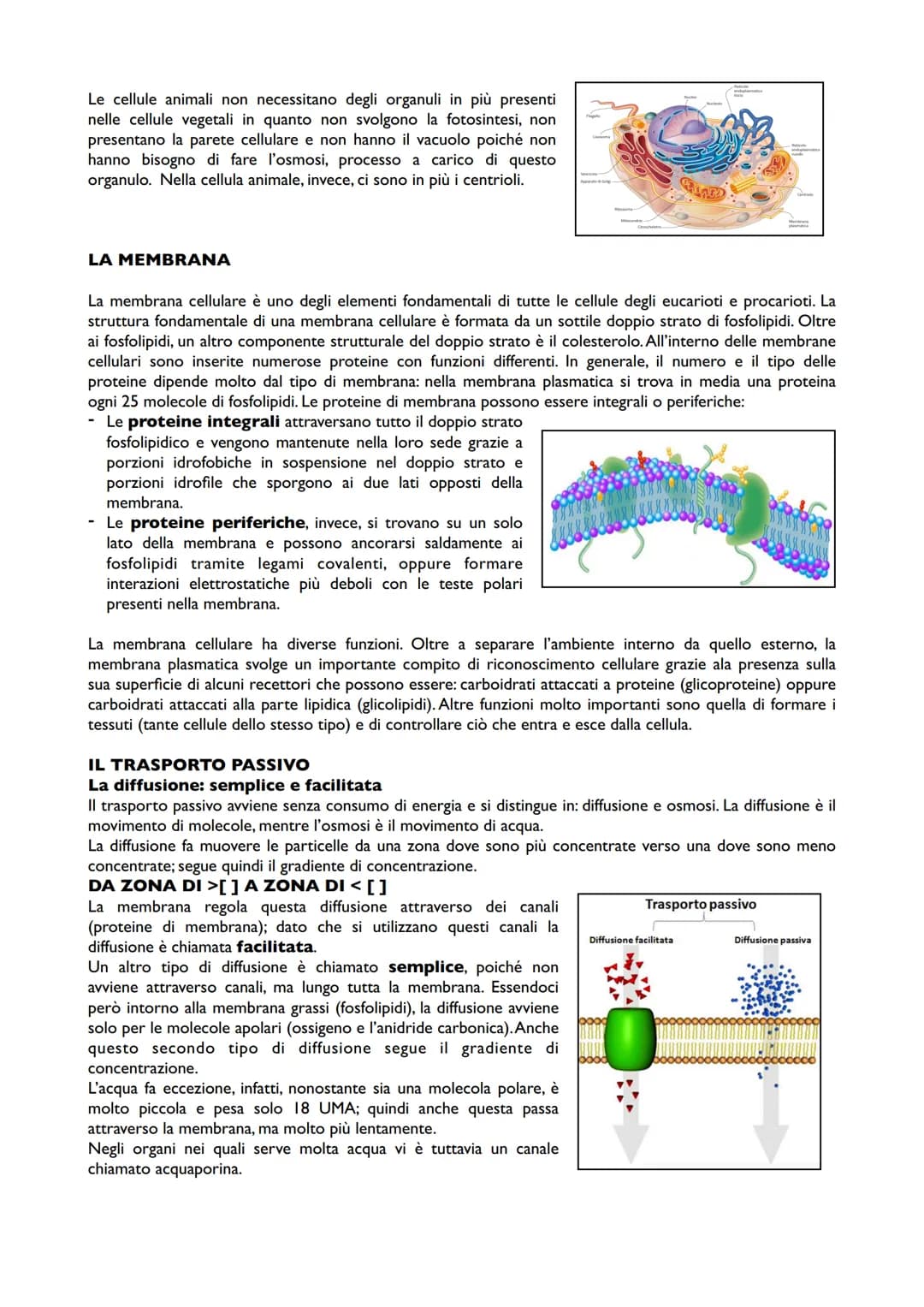 APPUNTI DI BIOLOGIA
LA CELLULA
La cellula è la più piccola struttura definibile come vivente. Le caratteristiche generali che
contraddisting