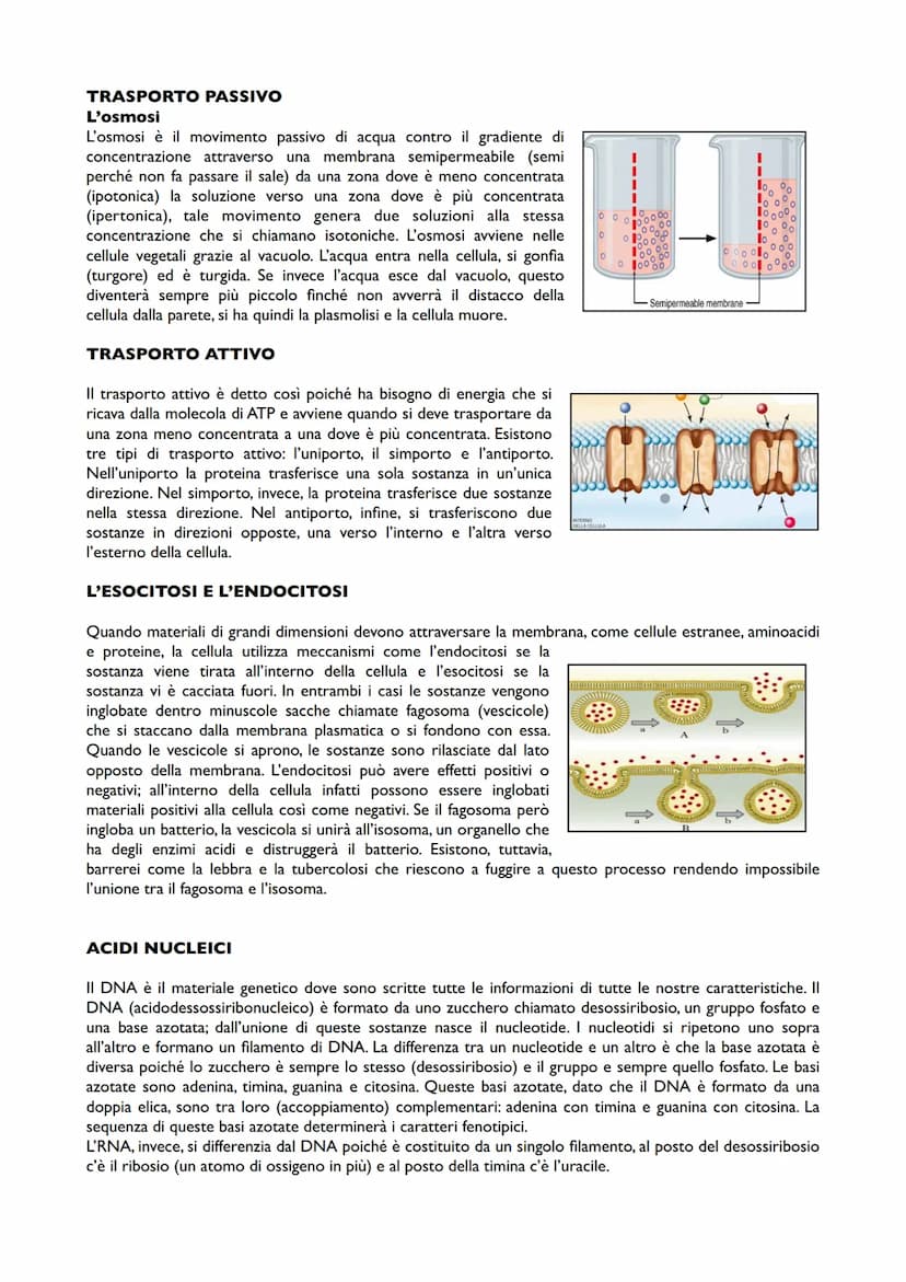 APPUNTI DI BIOLOGIA
LA CELLULA
La cellula è la più piccola struttura definibile come vivente. Le caratteristiche generali che
contraddisting