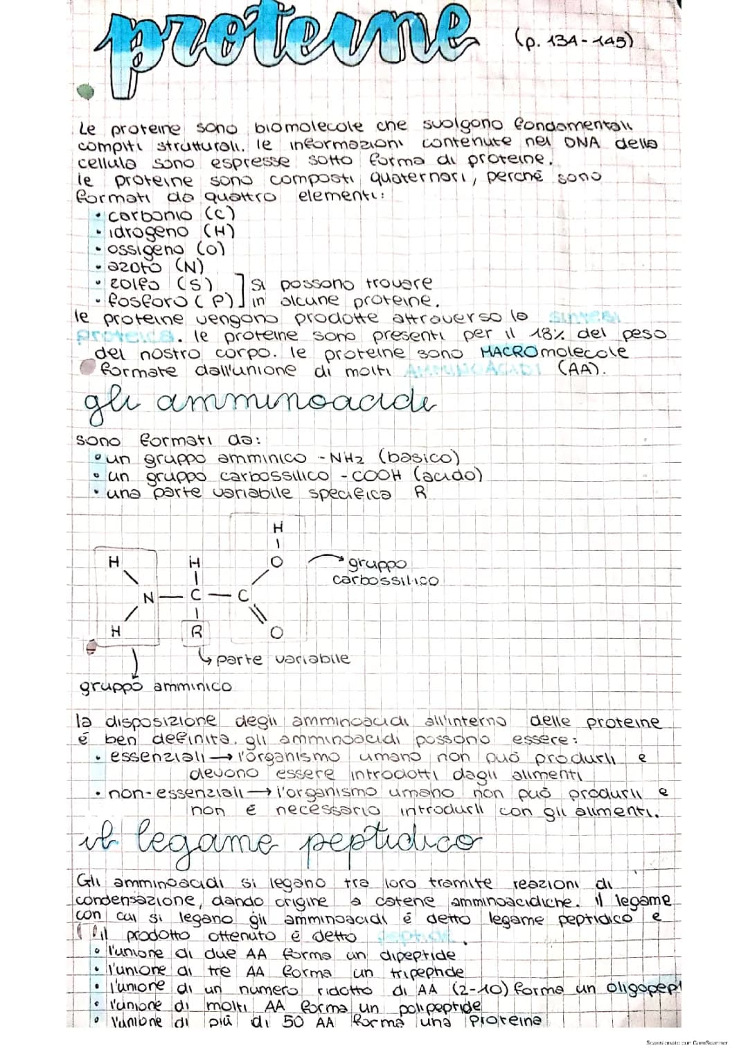 le proteine