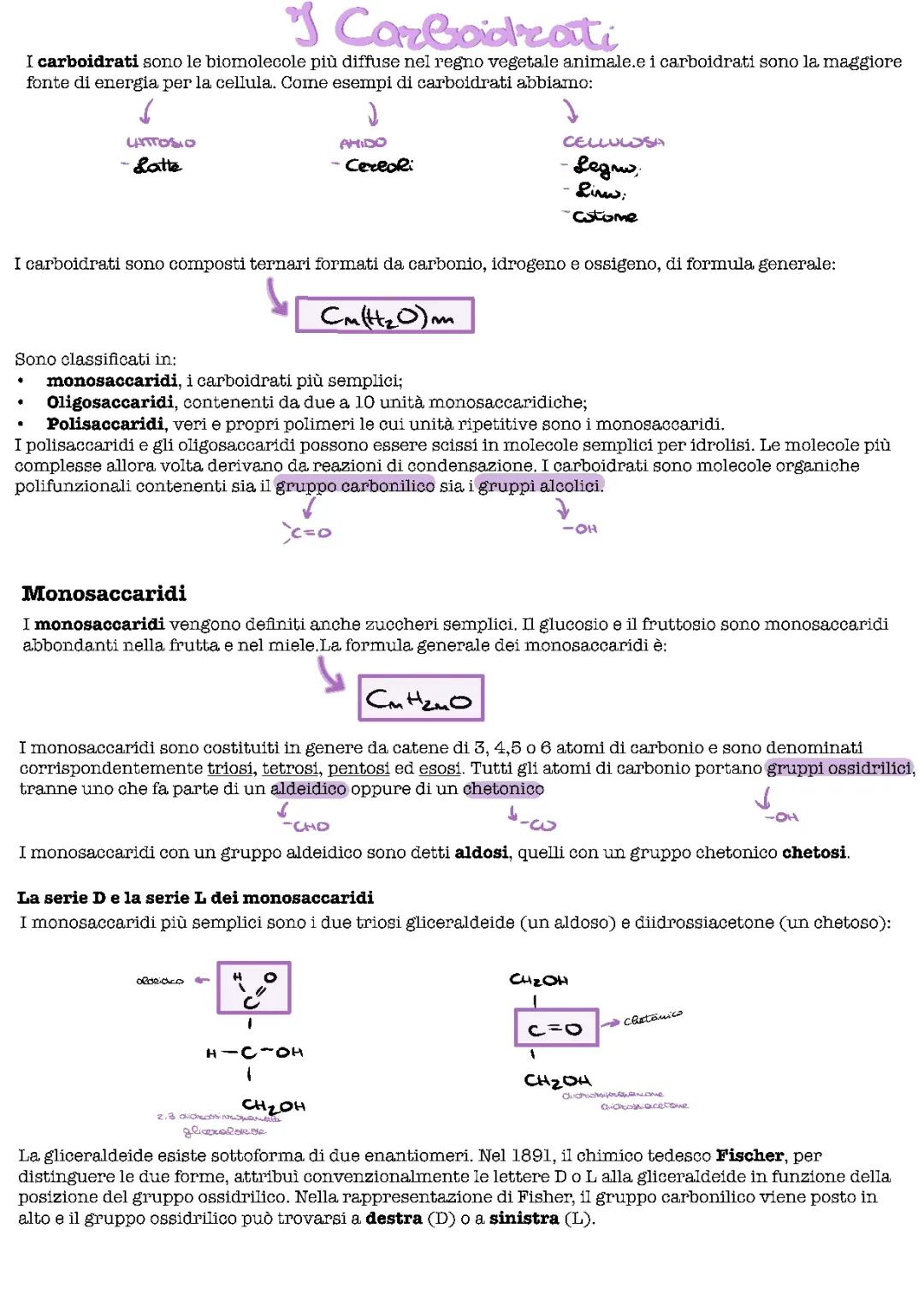 I carboidrati