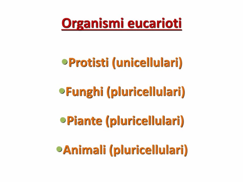 La cellula eucariote
Poro nucleare
Nucleolo
Membrana
nucleare
Reticolo
endoplasmatico
ruvido.
Ribosoma
Reticolo
endoplasmatico
liscio
Mitoco