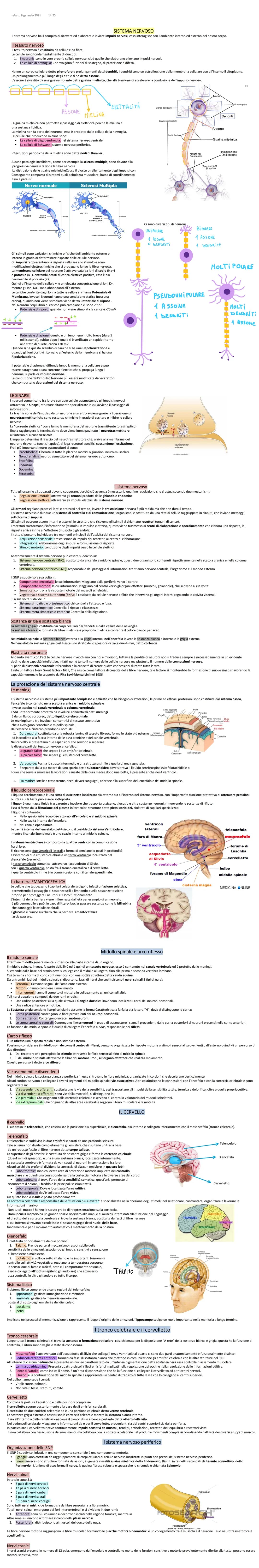 sabato 9 gennaio 2021
SISTEMA NERVOSO
Il sistema nervoso ha il compito di ricevere ed elaborare e inviare impulsi nervosi, esso interagisce 