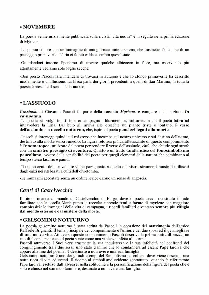 Giovanni Pascoli
La Vita
Pascoli è stato un poeta, un accademico e critico letterario italiano della fine dell'800 in Italia.
Insieme a D'An