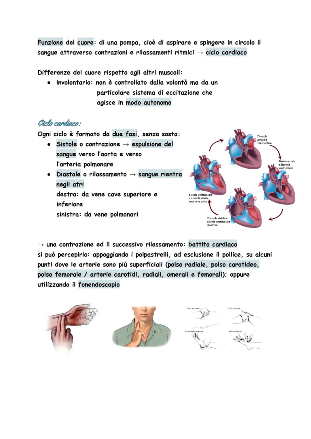 Circuito entro il quale si muove il sangue, attraverso il quale tutte le cellule
del nostro corpo possono nutrirsi, conservarsi e depurarsi
