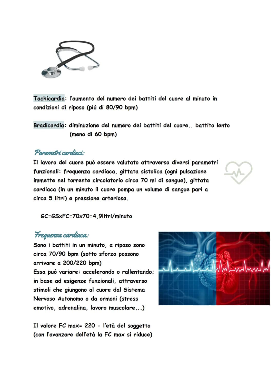Circuito entro il quale si muove il sangue, attraverso il quale tutte le cellule
del nostro corpo possono nutrirsi, conservarsi e depurarsi
