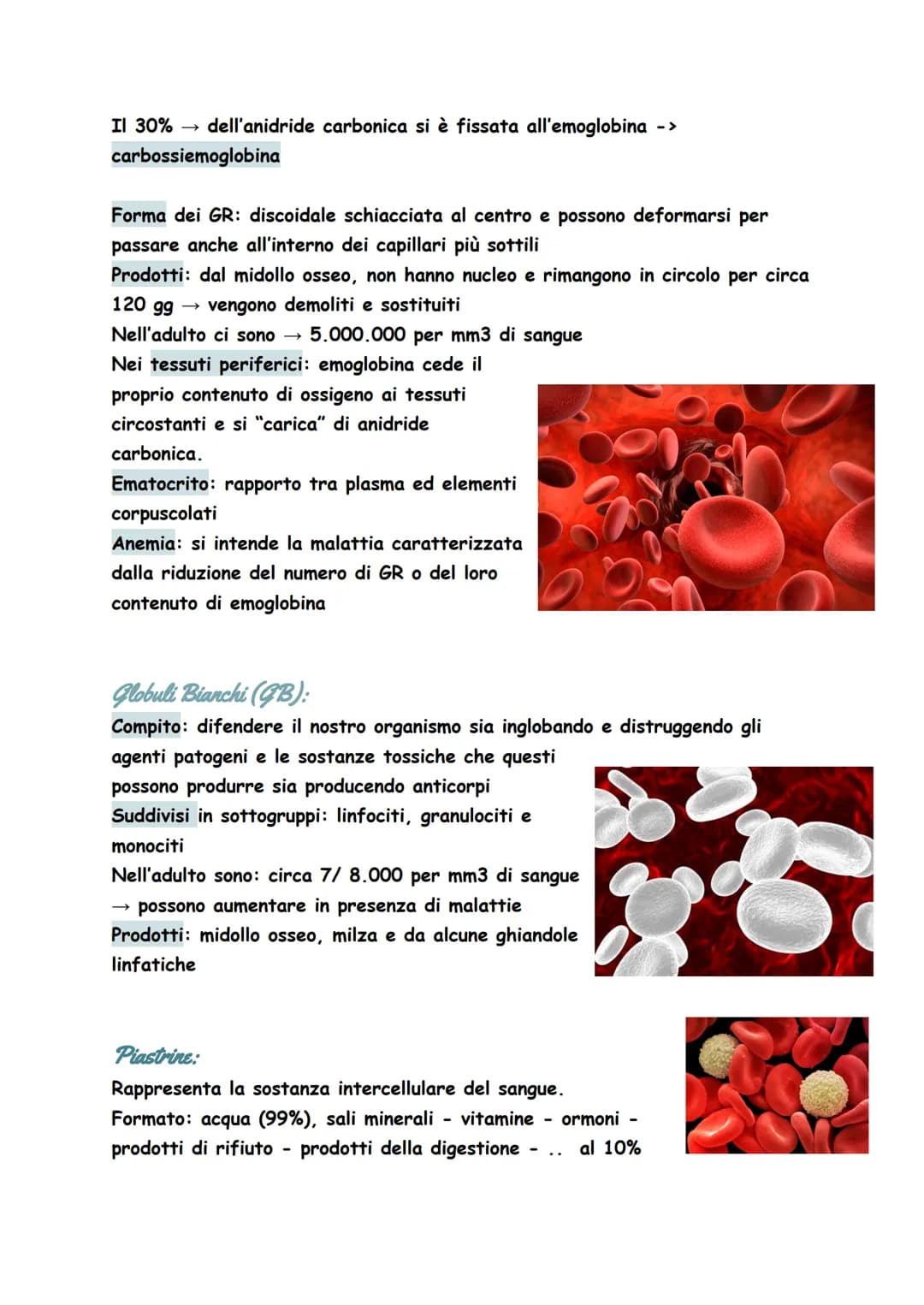 Circuito entro il quale si muove il sangue, attraverso il quale tutte le cellule
del nostro corpo possono nutrirsi, conservarsi e depurarsi
