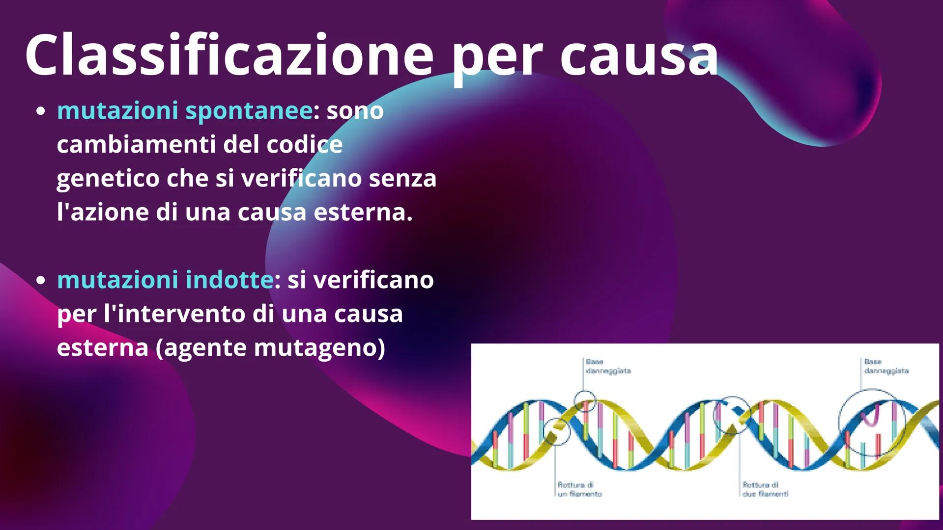 LE MUTAZIONI Definizione
Gli errori che possono interessare il DNA sono chiamati mutazioni. Esse possono
portare ad un difetto funzionale op