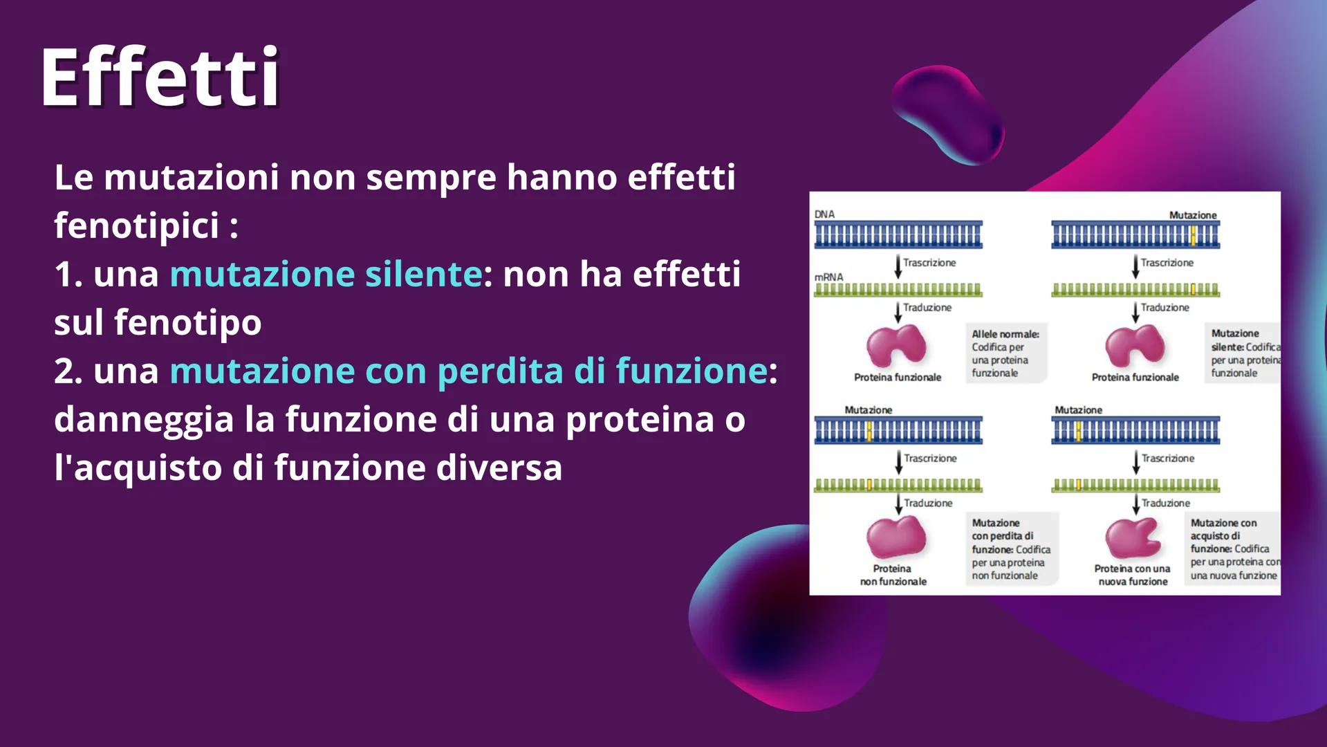 LE MUTAZIONI Definizione
Gli errori che possono interessare il DNA sono chiamati mutazioni. Esse possono
portare ad un difetto funzionale op