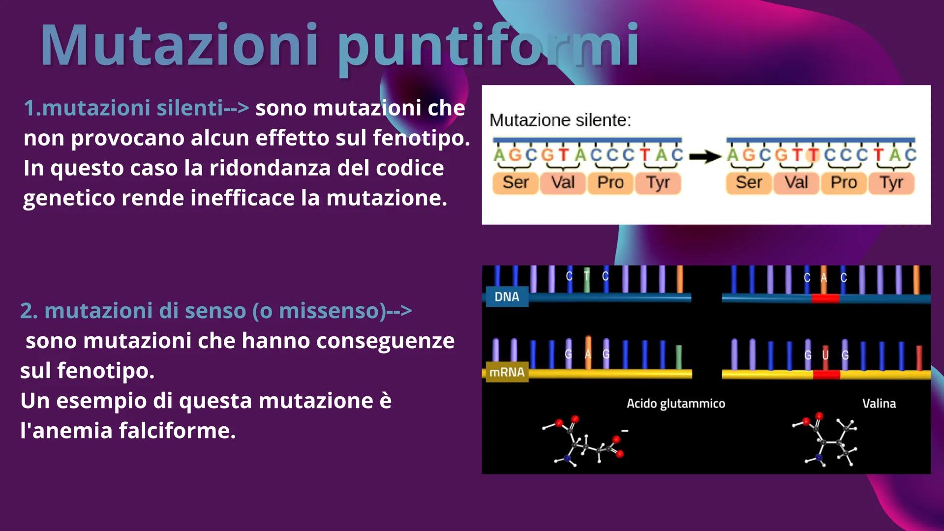 LE MUTAZIONI Definizione
Gli errori che possono interessare il DNA sono chiamati mutazioni. Esse possono
portare ad un difetto funzionale op
