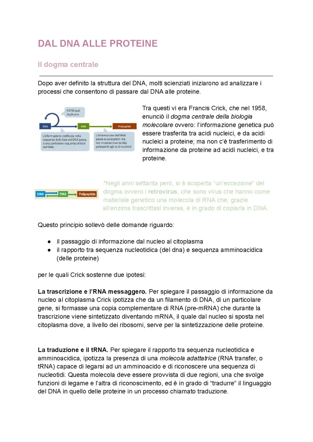 Trascrizione, Traduzione e Mutazioni 