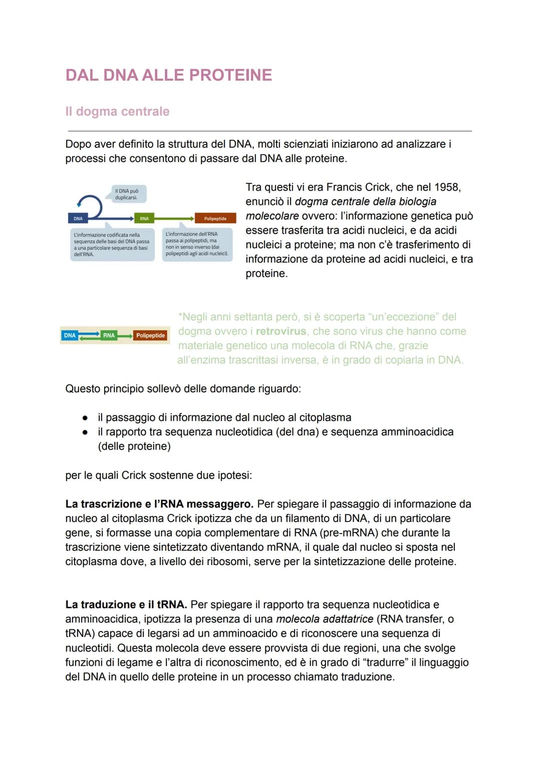 DAL DNA ALLE PROTEINE
Il dogma centrale
Dopo aver definito la struttura del DNA, molti scienziati iniziarono ad analizzare i
processi che co