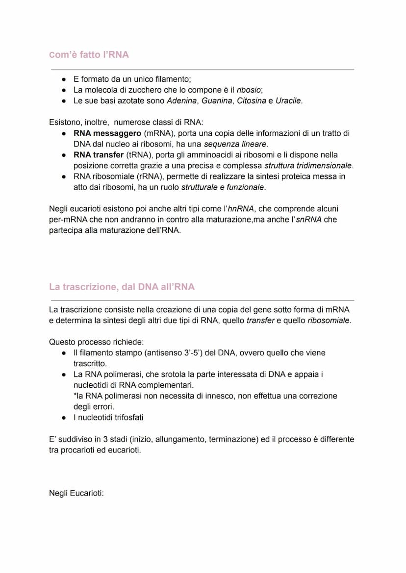 DAL DNA ALLE PROTEINE
Il dogma centrale
Dopo aver definito la struttura del DNA, molti scienziati iniziarono ad analizzare i
processi che co