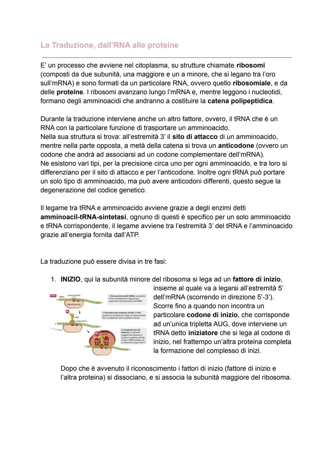 DAL DNA ALLE PROTEINE
Il dogma centrale
Dopo aver definito la struttura del DNA, molti scienziati iniziarono ad analizzare i
processi che co