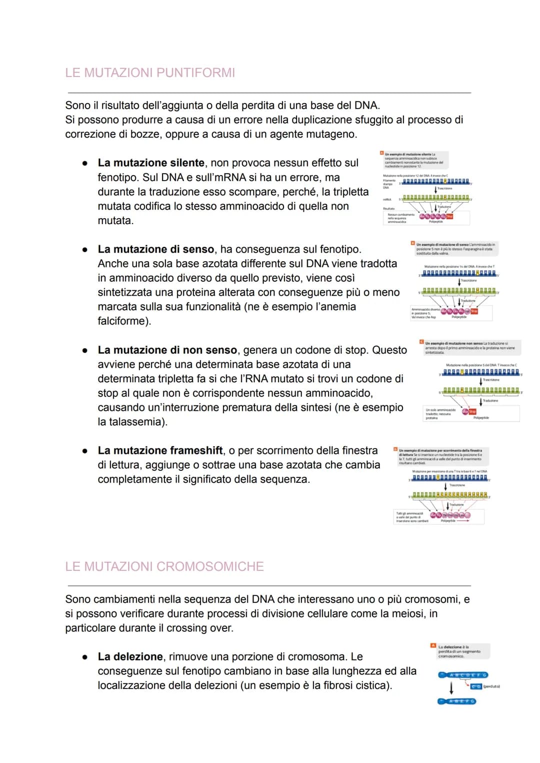 DAL DNA ALLE PROTEINE
Il dogma centrale
Dopo aver definito la struttura del DNA, molti scienziati iniziarono ad analizzare i
processi che co