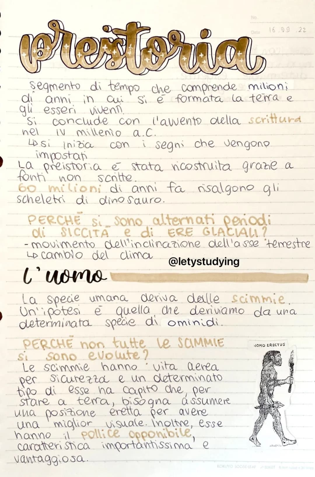 
<p>La preistoria è un segmento di tempo che comprende milioni di anni in cui si è formata la terra e gli esseri viventi. Si inizia con l'aw