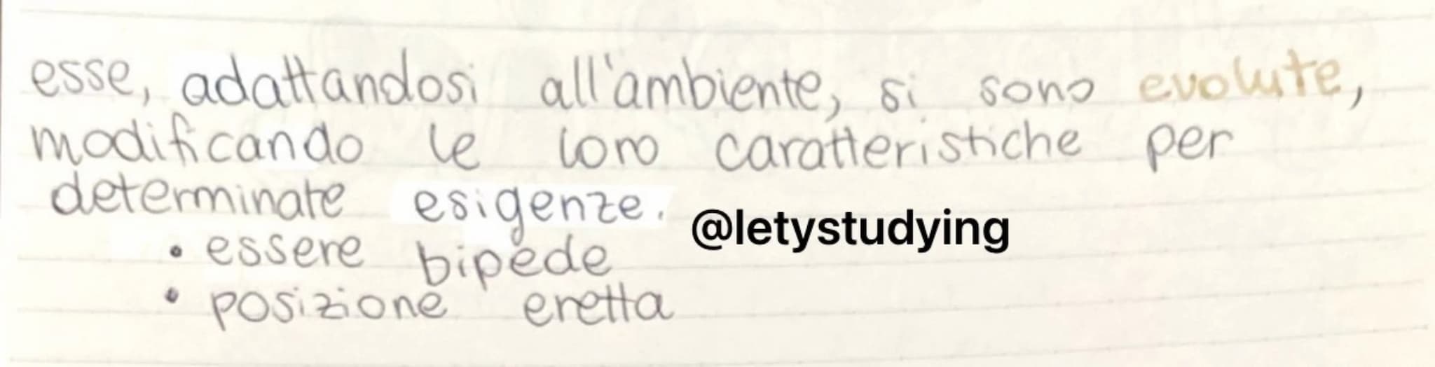
<p>La preistoria è un segmento di tempo che comprende milioni di anni in cui si è formata la terra e gli esseri viventi. Si inizia con l'aw