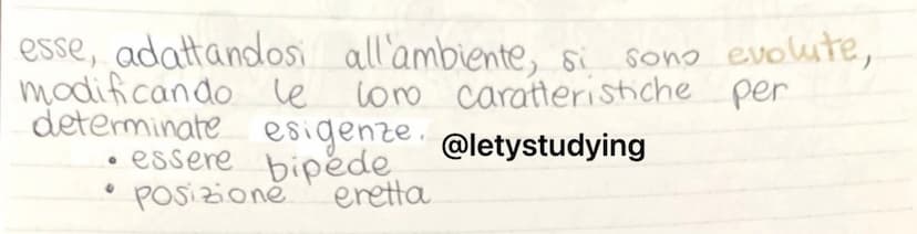 
<p>La preistoria è un segmento di tempo che comprende milioni di anni in cui si è formata la terra e gli esseri viventi. Si inizia con l'aw