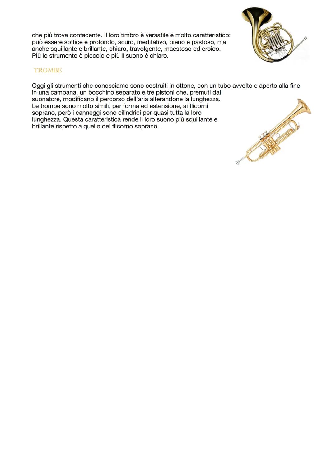 AEROFONI
LEGNI E OTTONI
Gli strumenti a fiato sono detti aerofoni perché producono il suono mettendo in vibrazione l'aria
stessa, nella magg