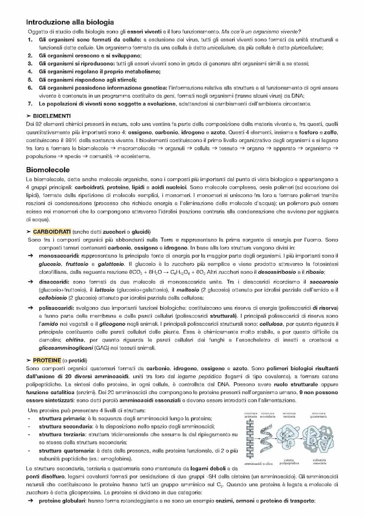 Know la chimica dei viventi 🧪 | biomolecole, proprietà dell'acqua & sostanze idrofobe e idrofile thumbnail
