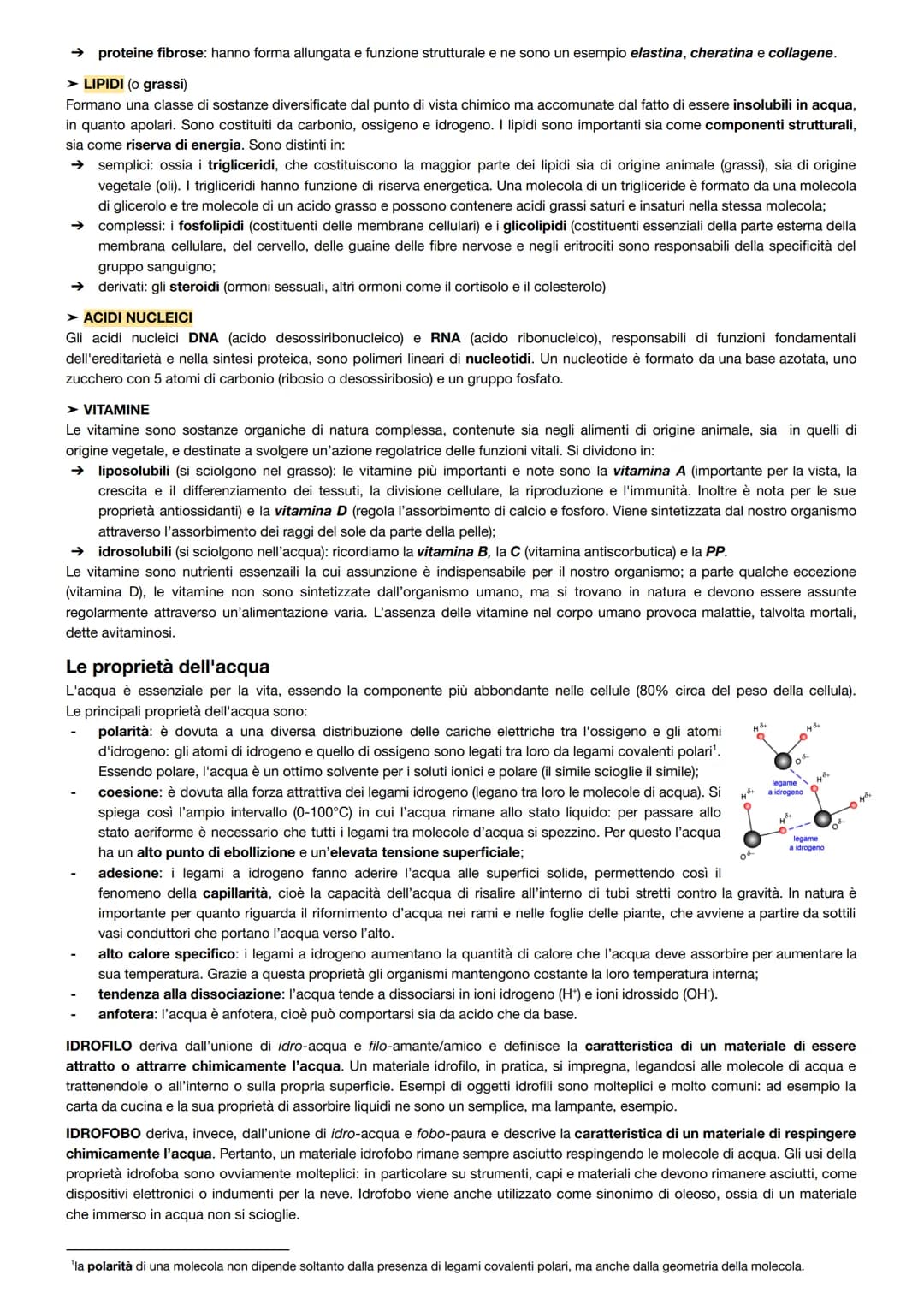 
<p>Gli esseri viventi e il loro funzionamento sono oggetto di studio della biologia. Un organismo vivente è costituito da cellule, ad eccez