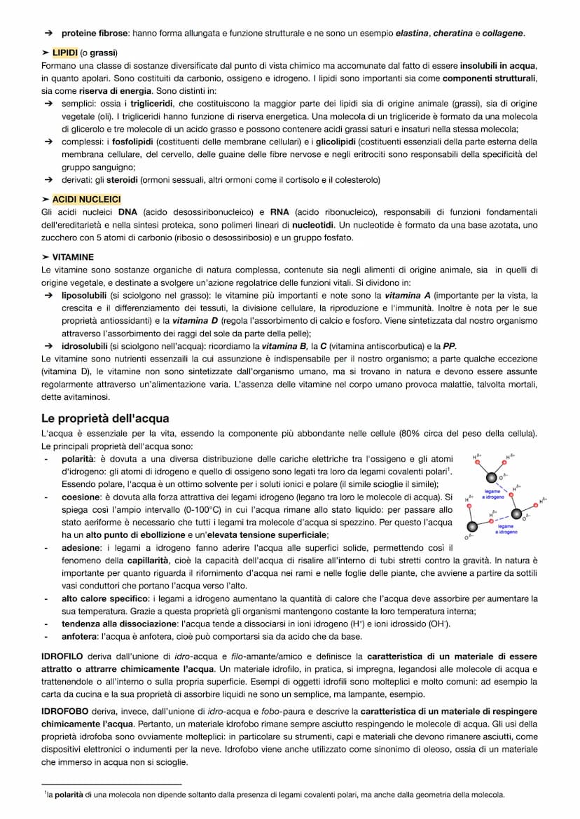 
<p>Gli esseri viventi e il loro funzionamento sono oggetto di studio della biologia. Un organismo vivente è costituito da cellule, ad eccez