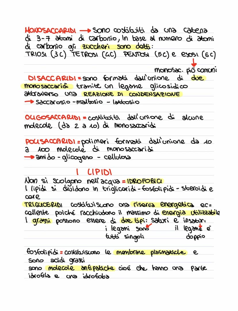 LE BIOMOLECOLE
fanno parte di un gruppo molto ampio di soS =
tanze contenenti carbonio
LE MACROMOLE COLE
sono molecole molto grandi, formate