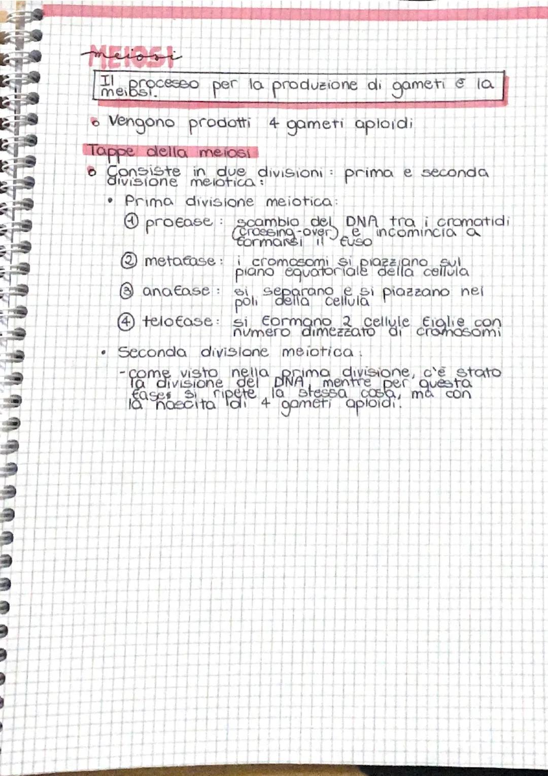 # I GAMETI

La riproduzione umana è sessuata, cioè che
per la creazione di 1 individuo servono 2
individui

*   Gli organi riproduttivi prod