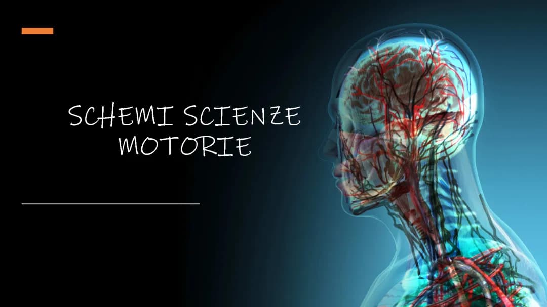 schemi anatomia