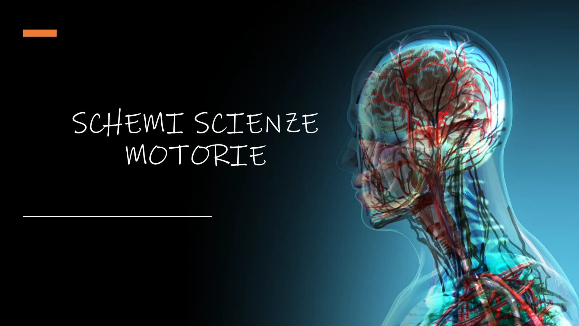 SCHEMI SCIENZE
MOTORIE APPARATO
SCHELETRICO-ARTICOLARE
la componente passiva del movimento Periostio
Osteosciti
Osseina
Midollo osseo
STRUTT