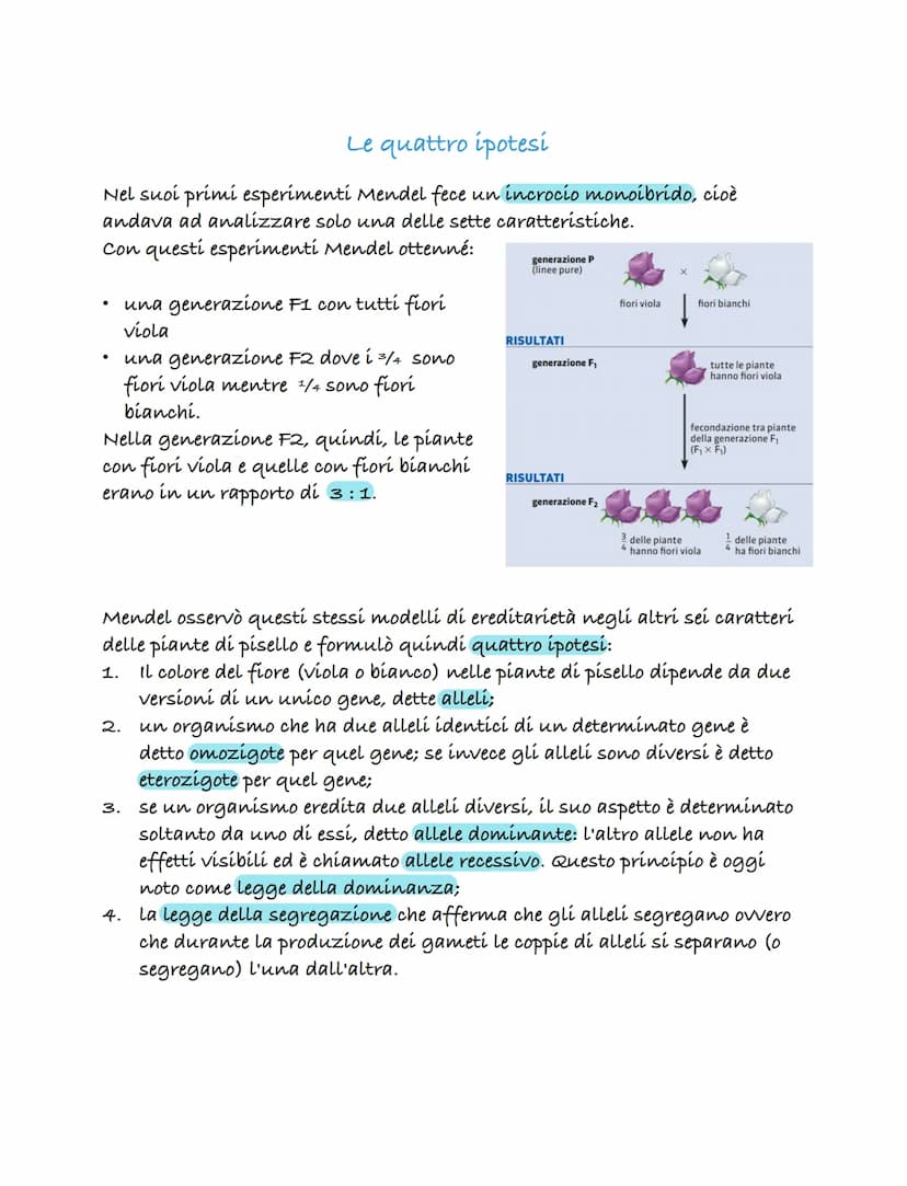 Le prime teorie sula genetica
una delle prime teorie sulla genetica fu formulata dal medico Ippocrate
(460-379 a.C.). Questa teoría è nota c