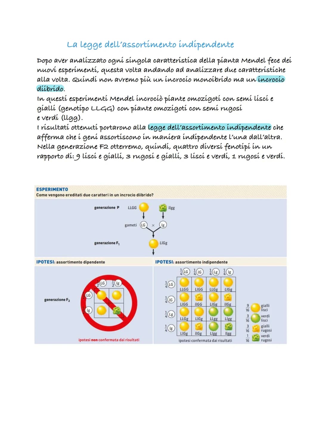Le prime teorie sula genetica
una delle prime teorie sulla genetica fu formulata dal medico Ippocrate
(460-379 a.C.). Questa teoría è nota c