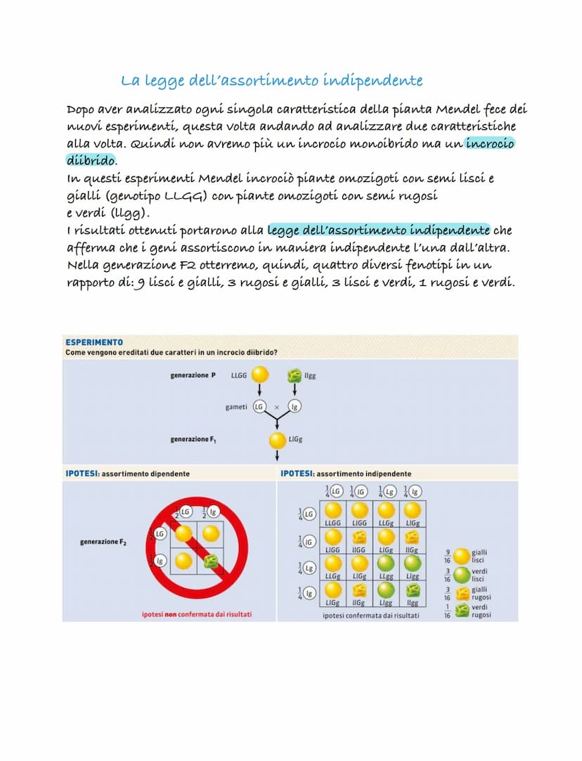 Le prime teorie sula genetica
una delle prime teorie sulla genetica fu formulata dal medico Ippocrate
(460-379 a.C.). Questa teoría è nota c
