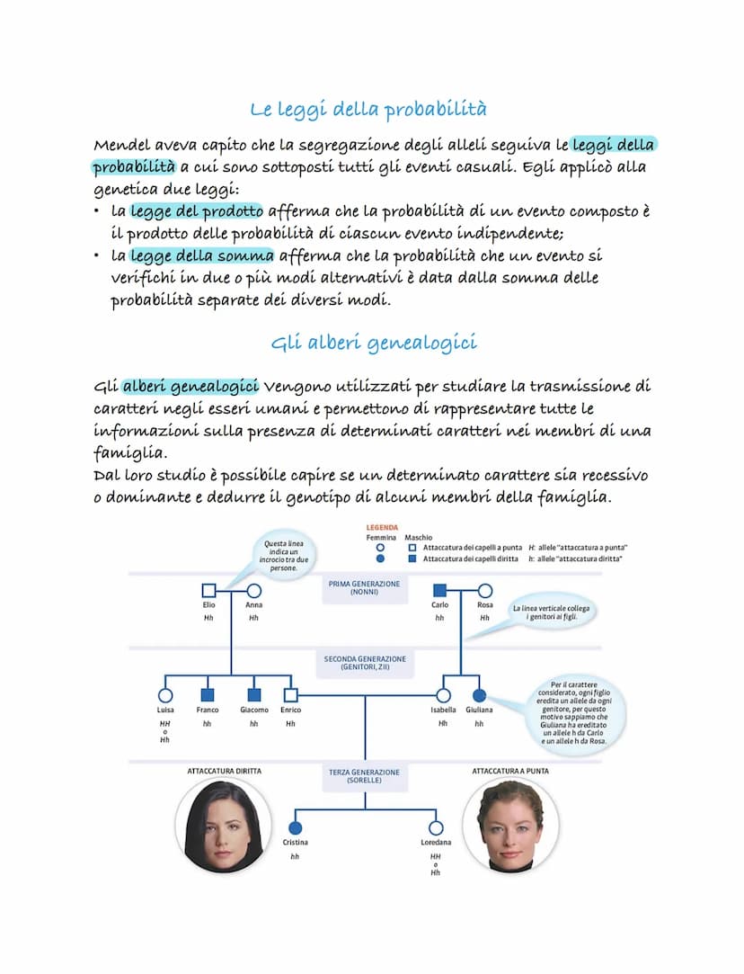 Le prime teorie sula genetica
una delle prime teorie sulla genetica fu formulata dal medico Ippocrate
(460-379 a.C.). Questa teoría è nota c