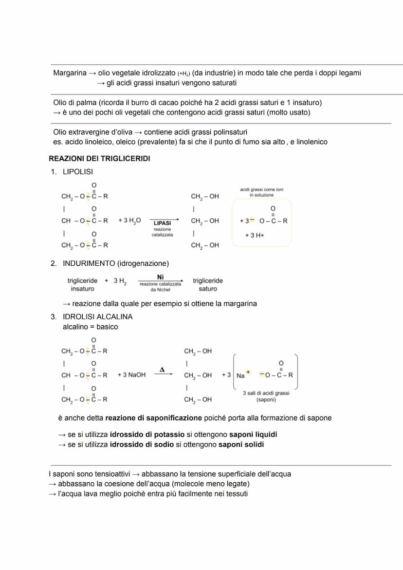CARBOIDRATI
anche detti glucidi o idrati del carbonio → formula generale C₁(H₂O)
sono composti ternari (costituiti da 3 elementi diversi: C,