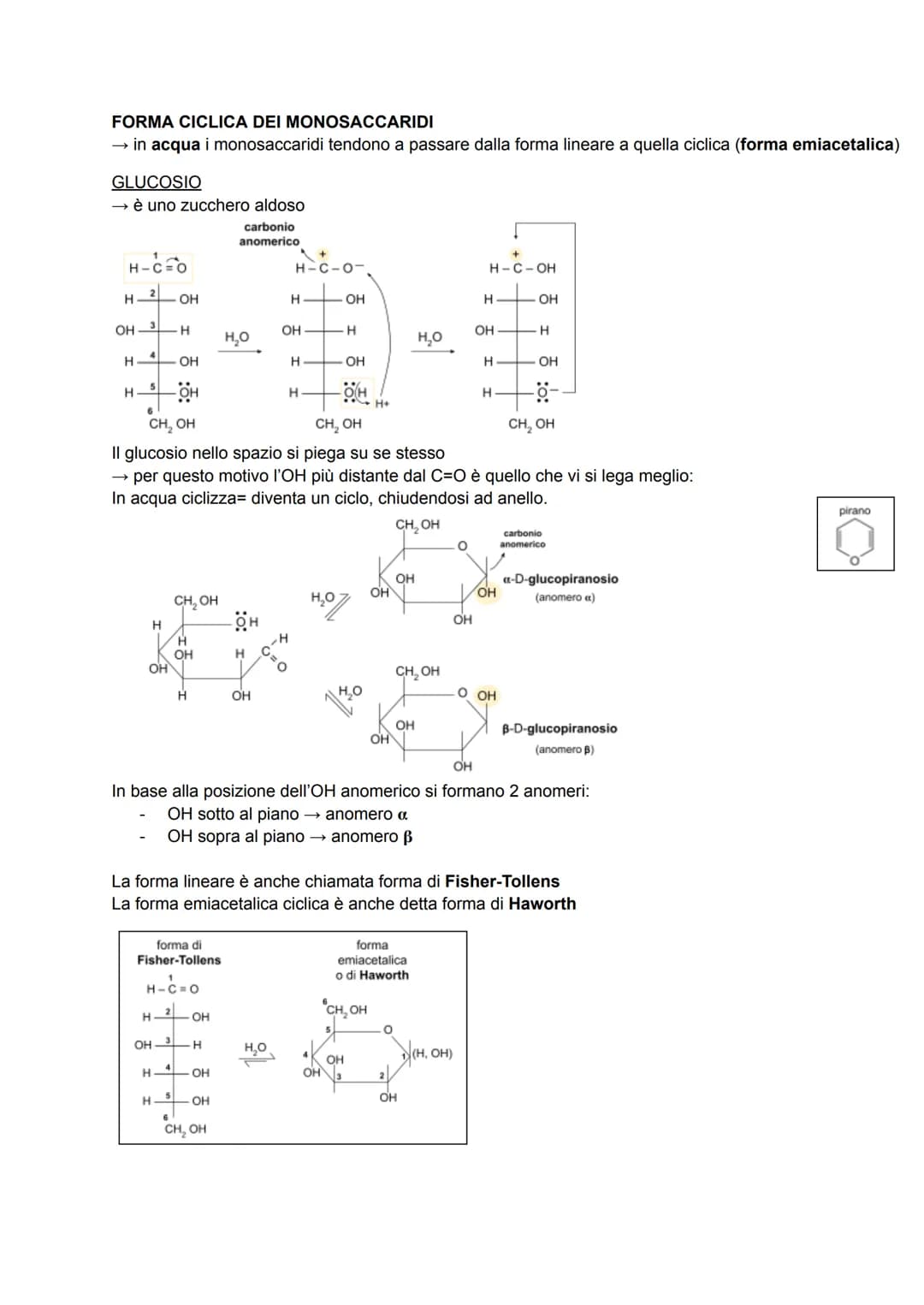 CARBOIDRATI
anche detti glucidi o idrati del carbonio → formula generale C₁(H₂O)
sono composti ternari (costituiti da 3 elementi diversi: C,