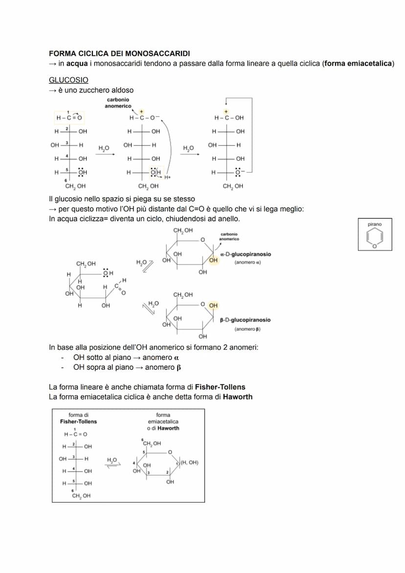 CARBOIDRATI
anche detti glucidi o idrati del carbonio → formula generale C₁(H₂O)
sono composti ternari (costituiti da 3 elementi diversi: C,