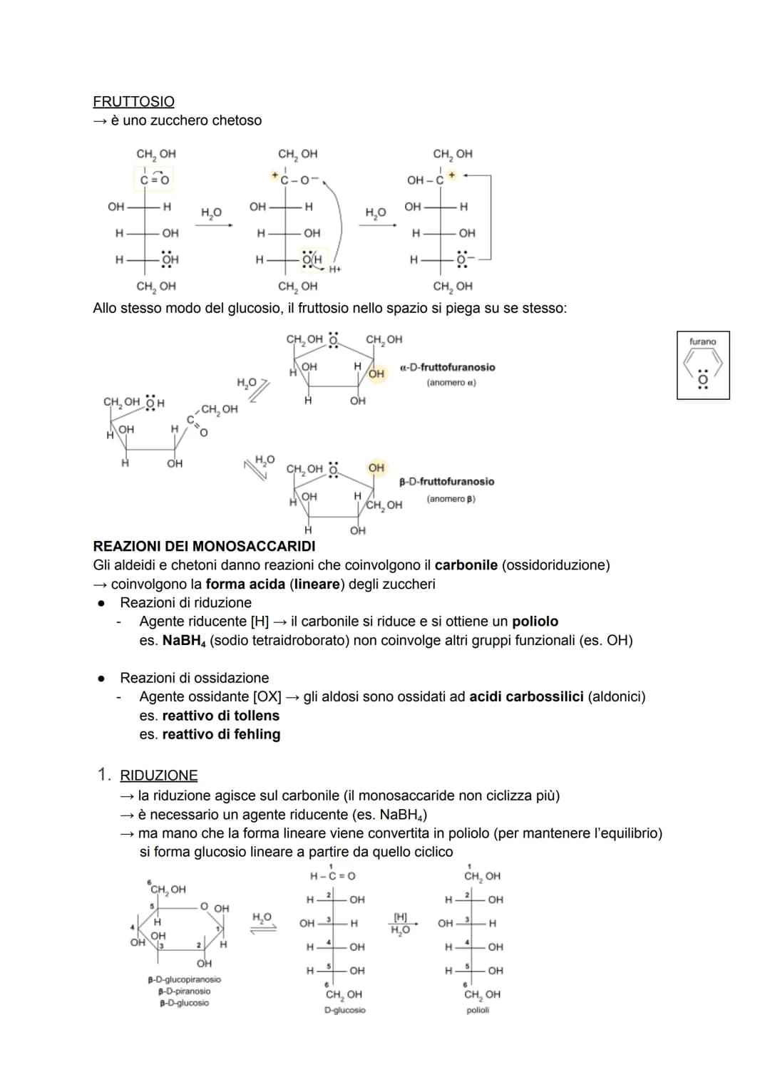 CARBOIDRATI
anche detti glucidi o idrati del carbonio → formula generale C₁(H₂O)
sono composti ternari (costituiti da 3 elementi diversi: C,