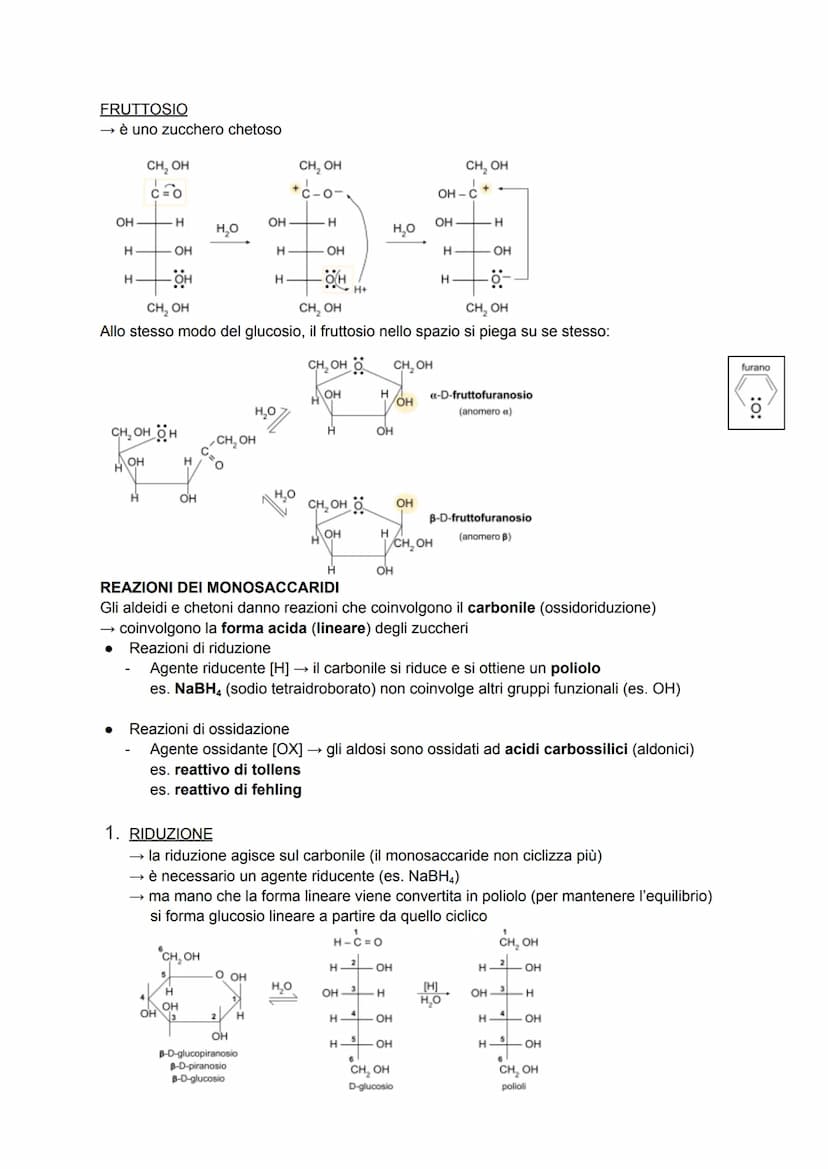 CARBOIDRATI
anche detti glucidi o idrati del carbonio → formula generale C₁(H₂O)
sono composti ternari (costituiti da 3 elementi diversi: C,