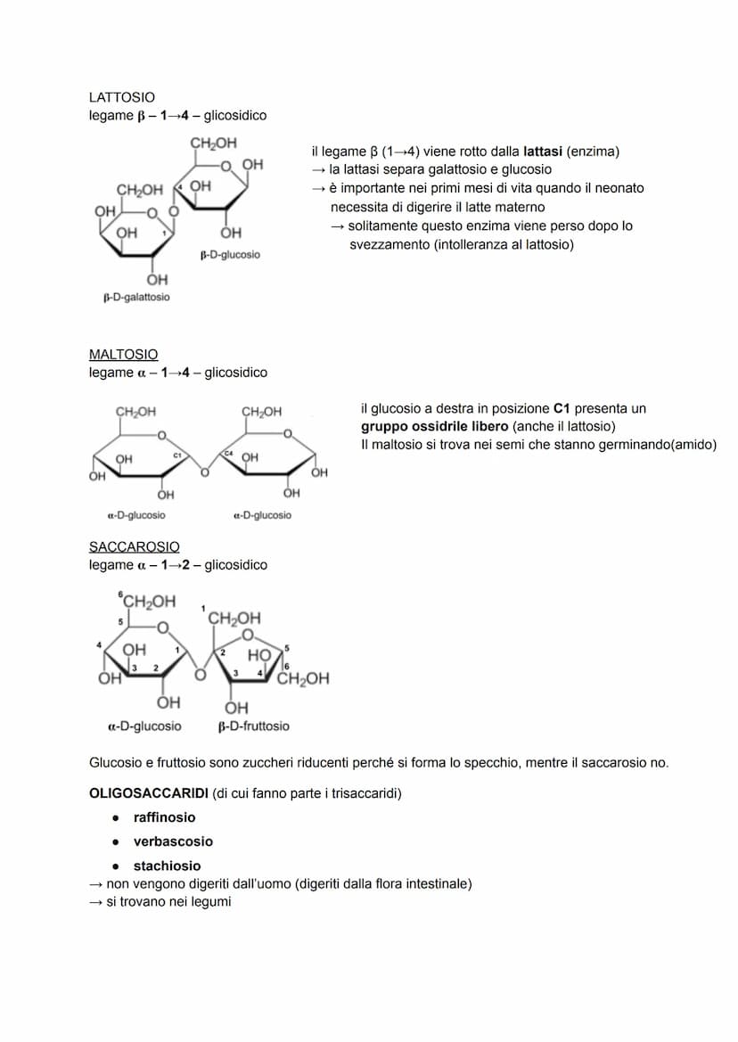 CARBOIDRATI
anche detti glucidi o idrati del carbonio → formula generale C₁(H₂O)
sono composti ternari (costituiti da 3 elementi diversi: C,