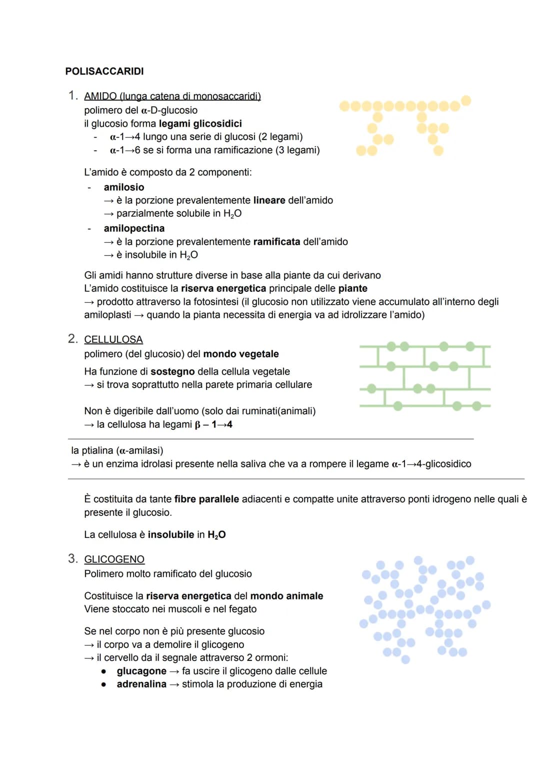 CARBOIDRATI
anche detti glucidi o idrati del carbonio → formula generale C₁(H₂O)
sono composti ternari (costituiti da 3 elementi diversi: C,