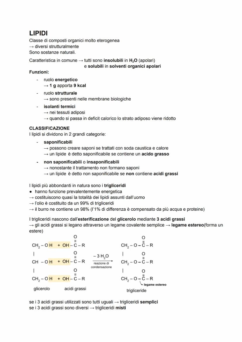 CARBOIDRATI
anche detti glucidi o idrati del carbonio → formula generale C₁(H₂O)
sono composti ternari (costituiti da 3 elementi diversi: C,