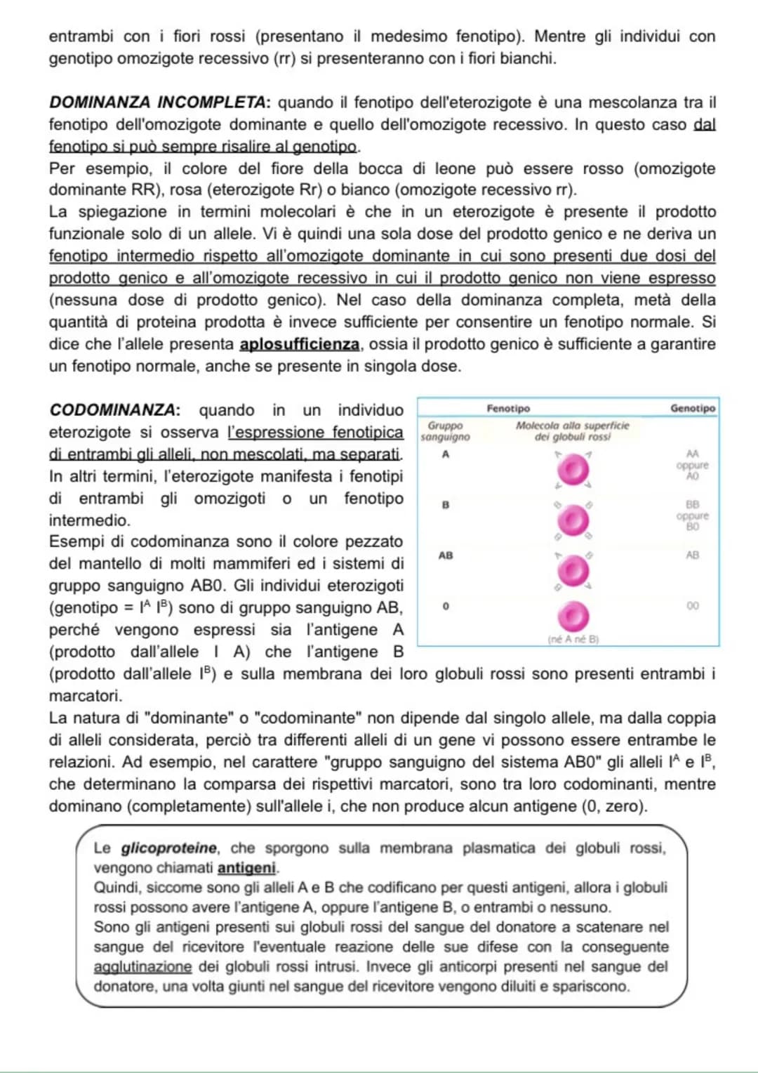 Ereditarietà
+ EREDITARIETÀ
Alla base della genetica formale c'è il concetto di gene, fattore ereditario legato ad una
particolare caratteri