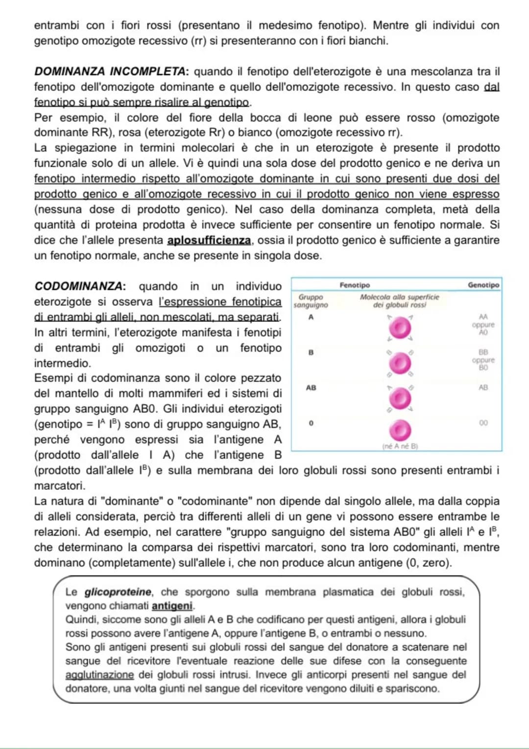 Ereditarietà
+ EREDITARIETÀ
Alla base della genetica formale c'è il concetto di gene, fattore ereditario legato ad una
particolare caratteri