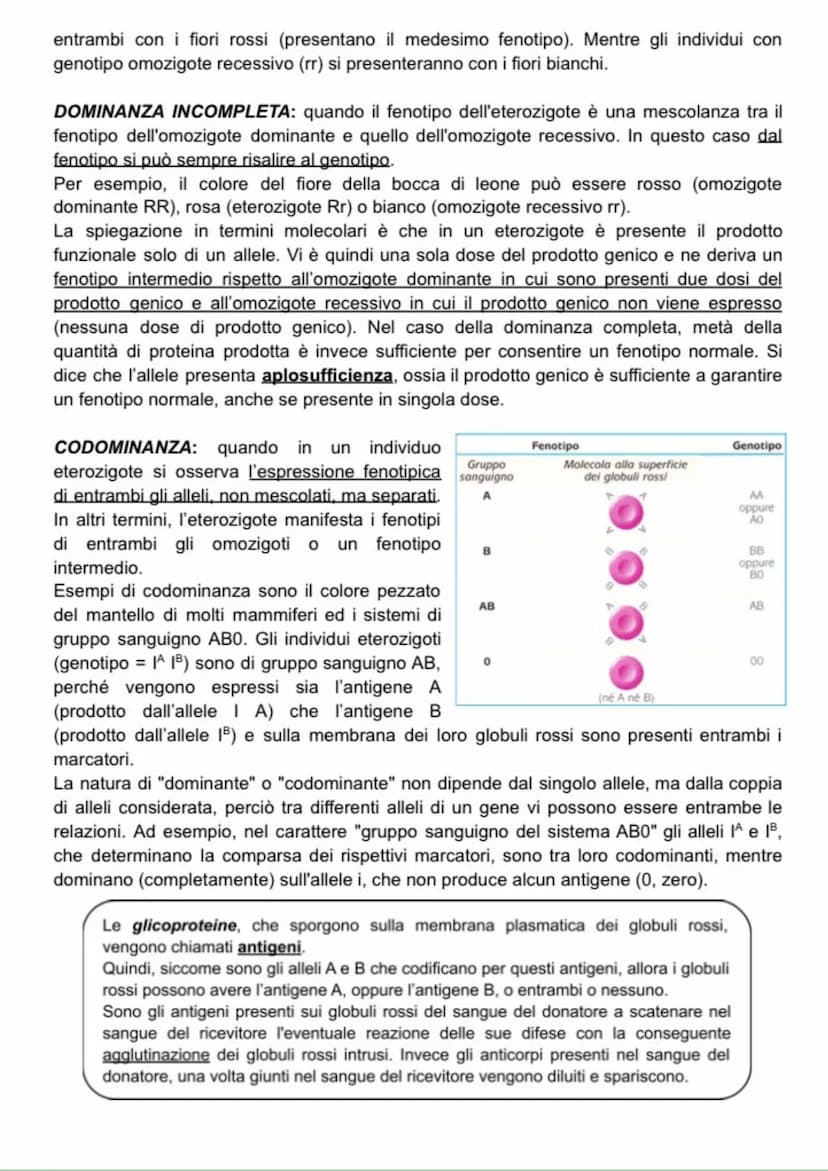 Ereditarietà
+ EREDITARIETÀ
Alla base della genetica formale c'è il concetto di gene, fattore ereditario legato ad una
particolare caratteri