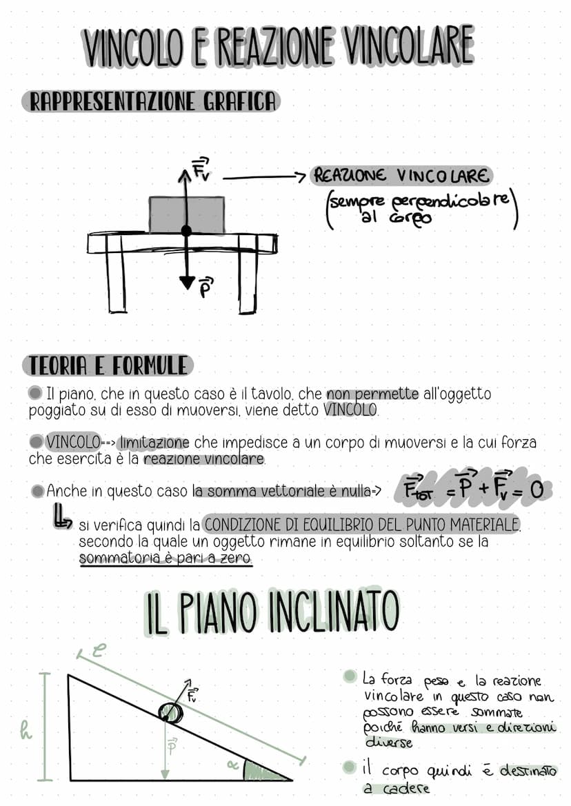 LA FORZA
Si tratta di una forza vettoriale, poiché si calcola come i vettori, e si misura
in Newton[N].
•·LA DIREZIONE
che clice se è colloc
