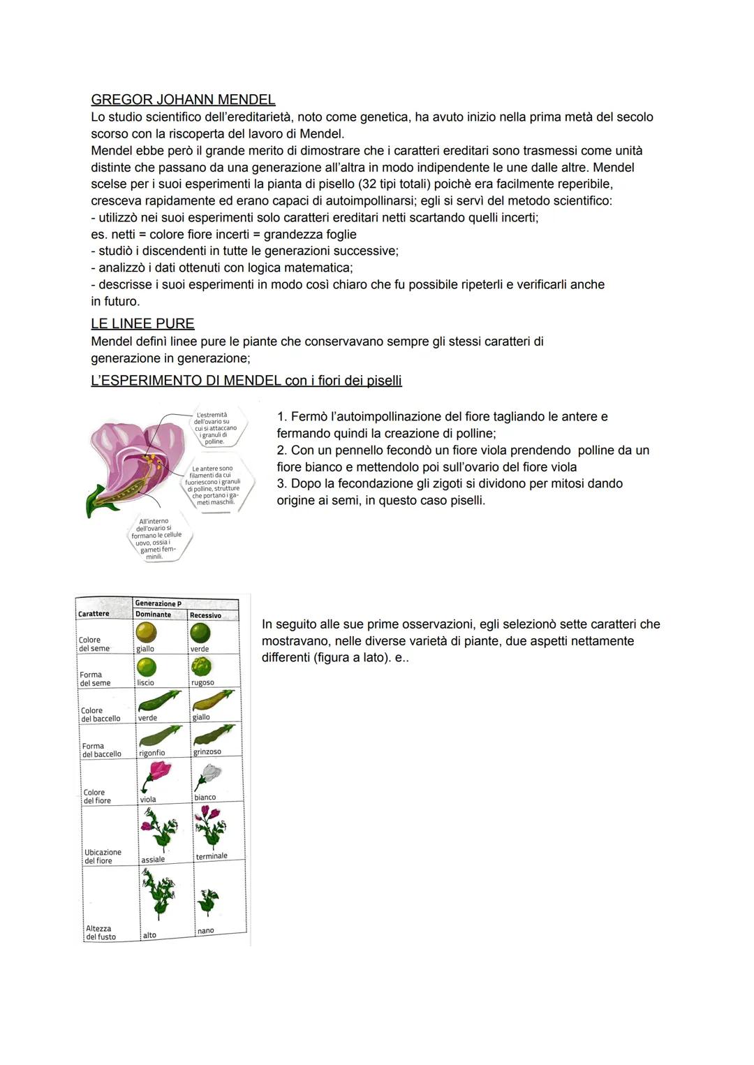 # GREGOR JOHANN MENDEL

Lo studio scientifico dell'ereditarietà, noto come genetica, ha avuto inizio nella prima metà del secolo
scorso con 