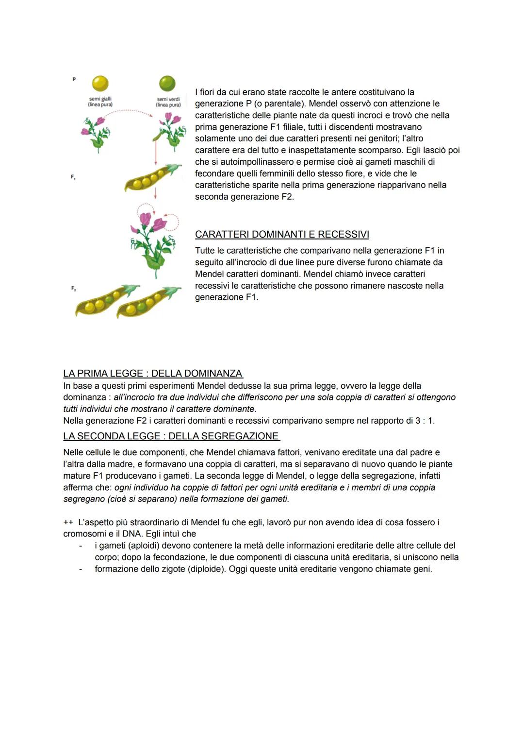 # GREGOR JOHANN MENDEL

Lo studio scientifico dell'ereditarietà, noto come genetica, ha avuto inizio nella prima metà del secolo
scorso con 