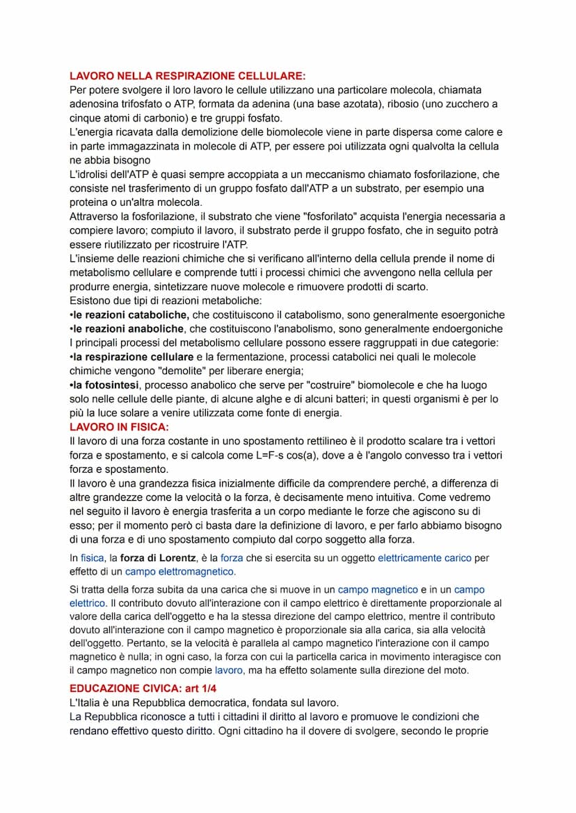 Il lavoro
INTRODUZIONE:
Tra le grandi trasformazioni avvenute tra la fine del XIX secolo e l'inizio del XX
secolo si ricorda la diffusione d