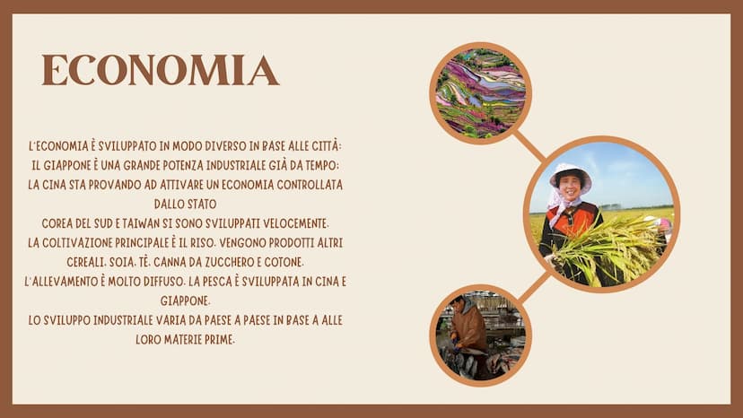 ESTREMO ORIENTE
APPROFONDIMENTO
LA CINA
*** TERRITORIO
Quando si parla di Estremo Oriente si indica la regione
che comprende Cina, Giappone,